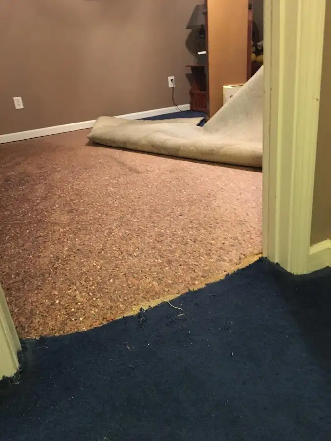 Carpet pad removal revealing water damage during Water Mitigation Services in Sunnyvale